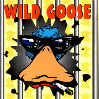 [Wild Goose Wild Goose Album Cover]