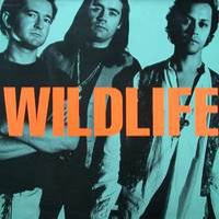 [Wildlife Wildlife Album Cover]