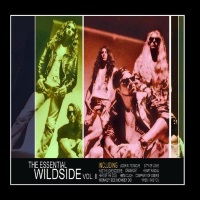[Wildside The Essential Wildside Vol II Album Cover]